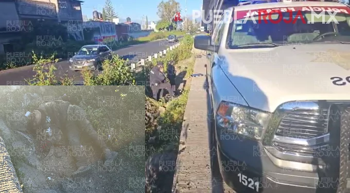 Motociclista muere tras chocar contra objeto fijo en la lateral de la autopista México–Puebla
