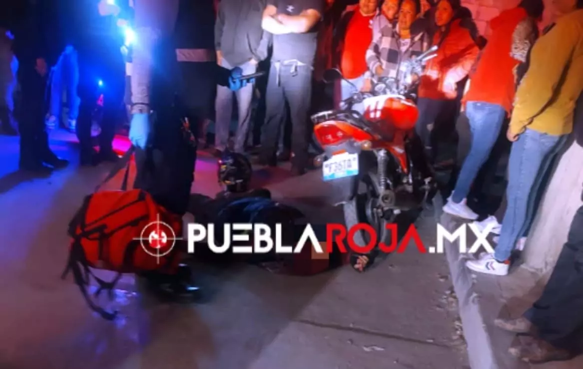 IMG-20251119-WA0008(1)