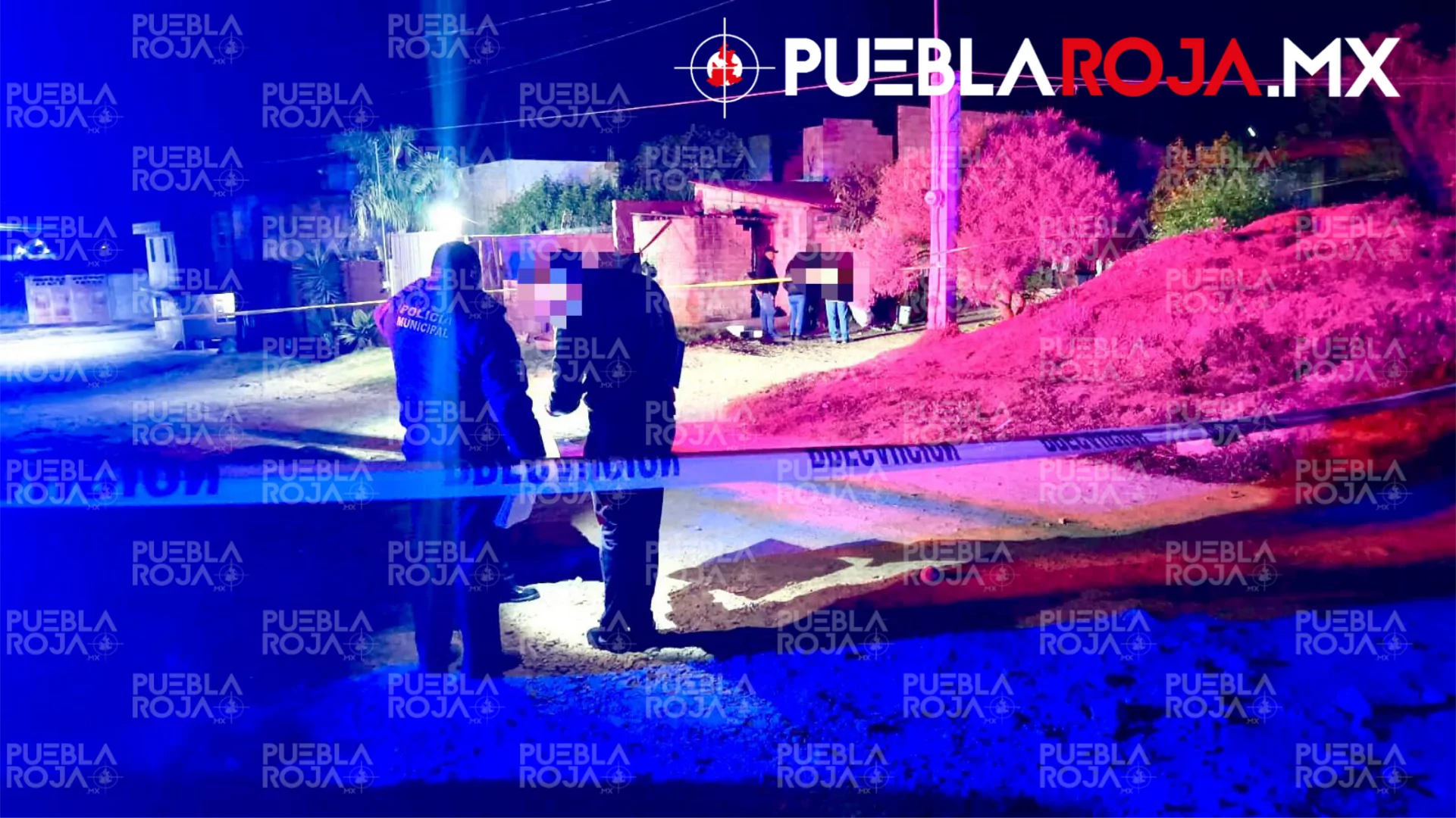 Picsart_25-11-25_08-22-51-159