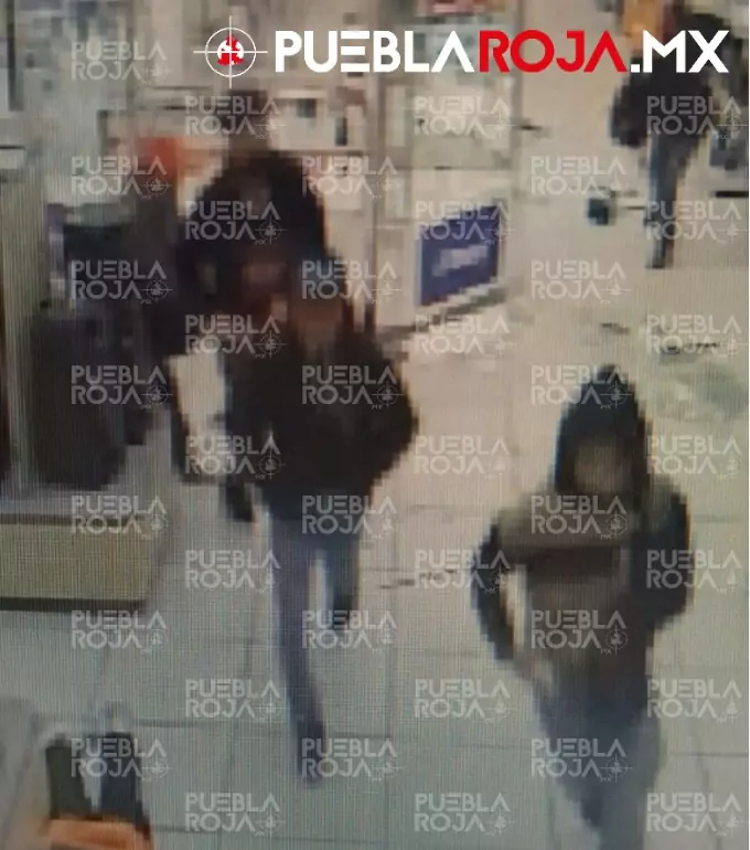 WhatsApp Image 2025-11-12 at 8.28.24 PM