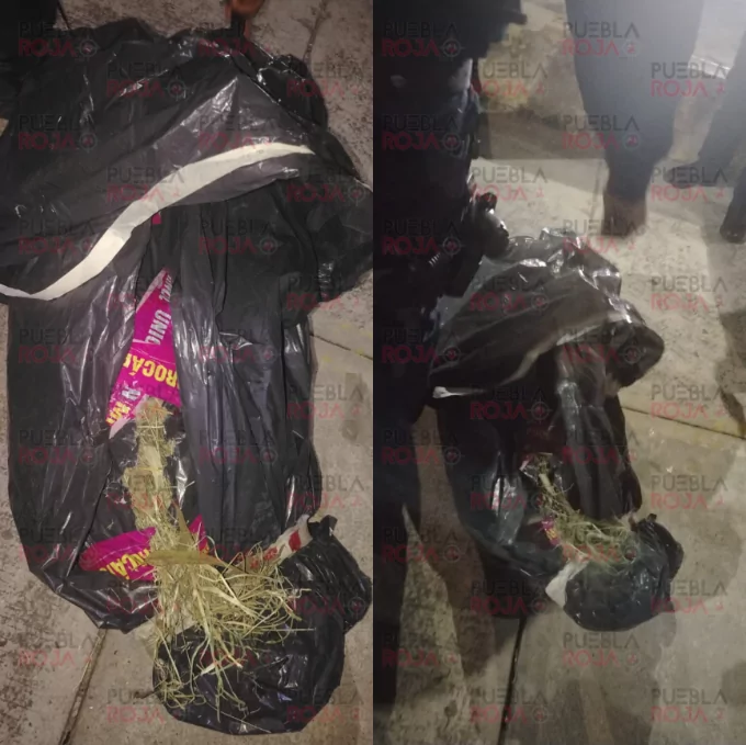 Falsa alarma en Rivera Anaya: “cuerpo” embolsado era basura acomodada como humano