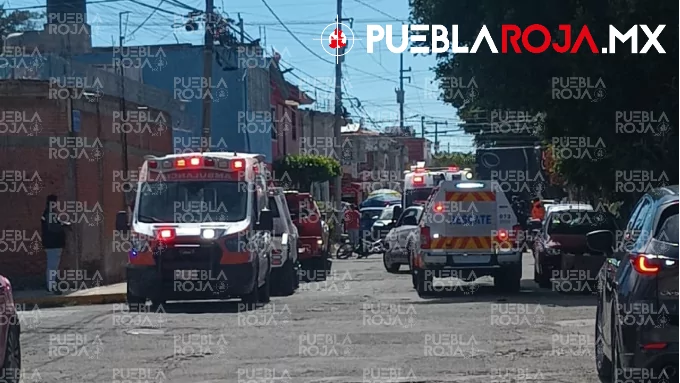 image - 2025-11-12T165801.070