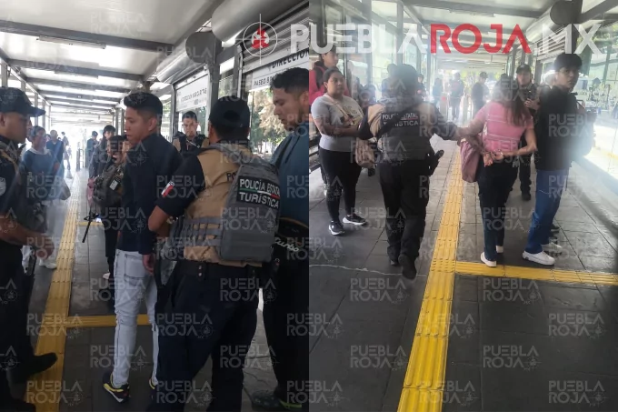 image - 2025-11-12T173724.225