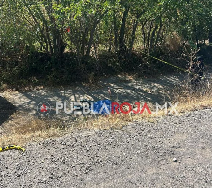 Picsart_25-12-04_19-32-05-767