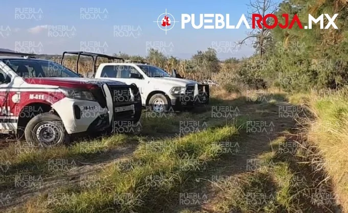 Hallan seis cuerpos en una barranca entre Puebla y Tlaxcala: otro multihomicidio en la región