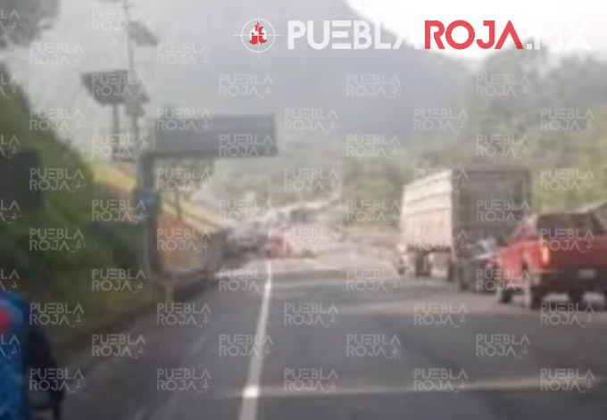 Ejecución y robo armado en la México–Tuxpan: asesinan a dos floristas y abandonan a sobrevivientes