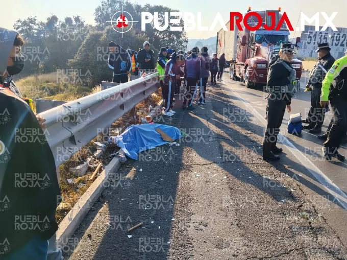 Peregrino de 14 años muere atropellado en la México–Puebla; otro queda herido