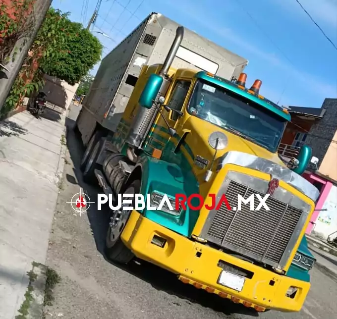 Atracan tráiler ganadero en cumbres de Maltrata y roban animales valuados en 2 millones