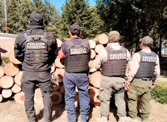 Con operativo interestatal fueron asegurados más de 90 troncos de madera