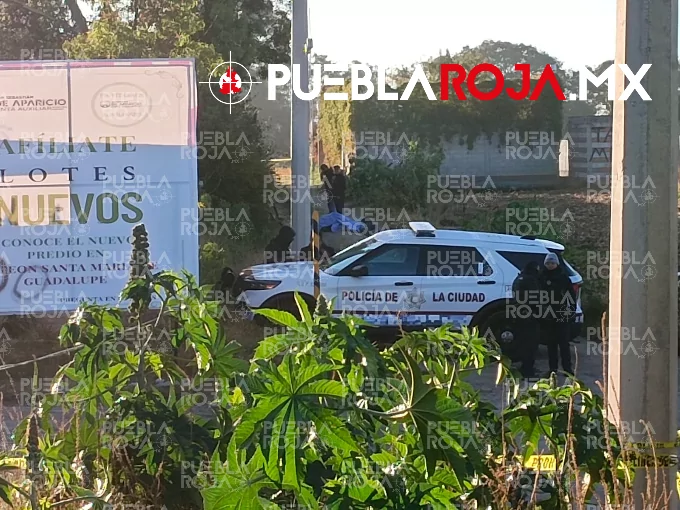 Levantón en la 10 de Mayo termina en doble ejecución: aparecen embolsados en San Sebastián Aparicio