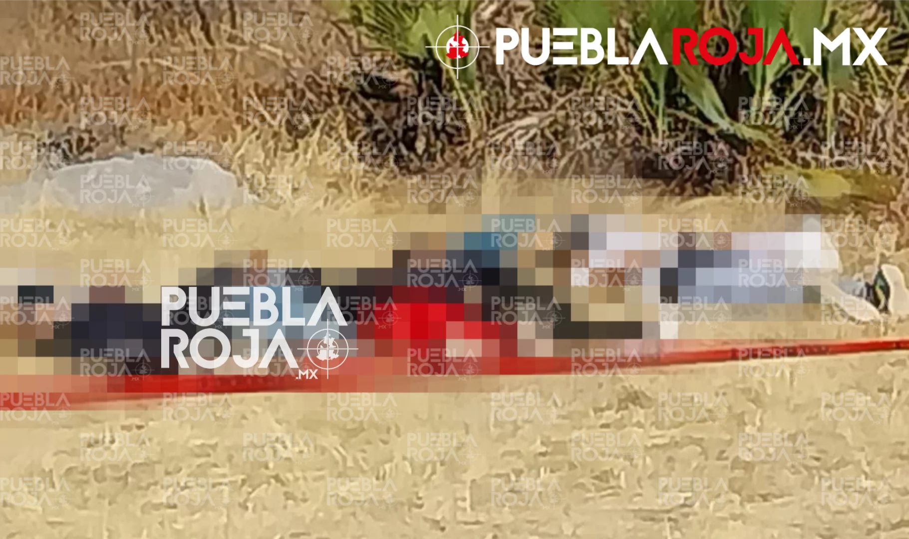 Hallan a seis personas ejecutadas en Huehuetlán El Grande; FGE abre investigación