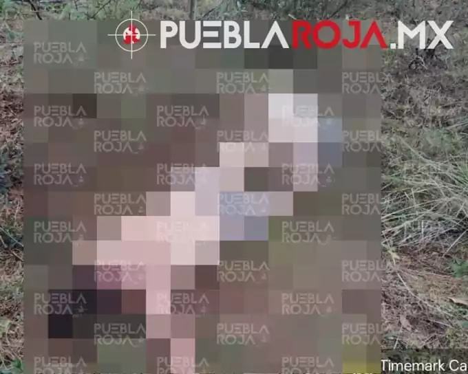 WhatsApp Image 2026-02-20 at 9.56.06 PM