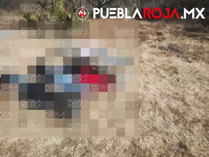 Masacre en Huehuetlán: hallan seis ejecutados y maniatados