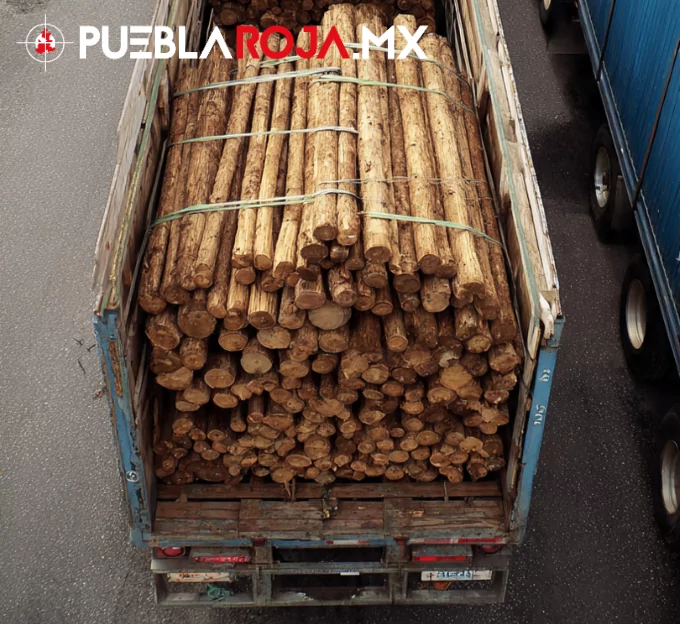 Caen con cargamento de madera ilegal en Venustiano Carranza