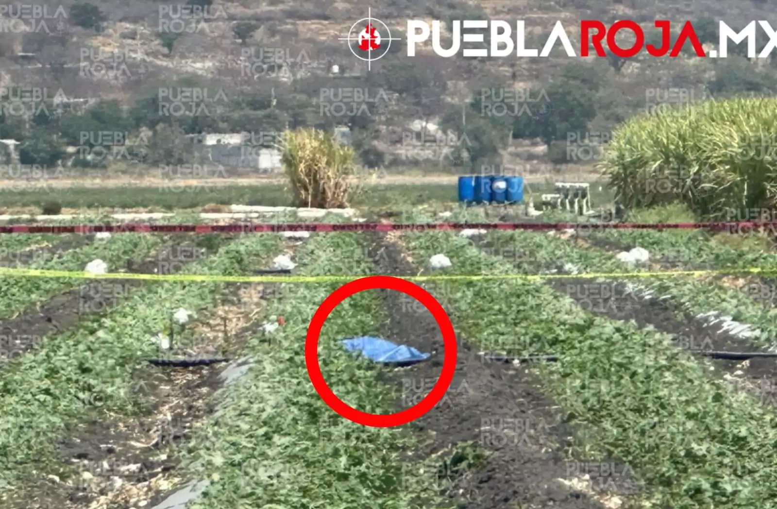 Ejecutan a campesino de un disparo en la cabeza en San Juan Piaxtla, Izúcar