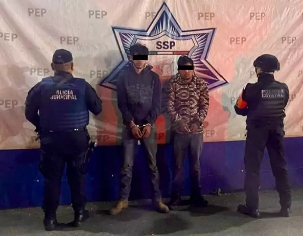 Operativo en Teziutlán frustra delito ambiental y asegura rollos de pino