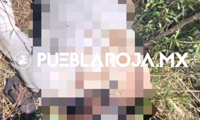 Hallan cadáver con tiros en la cabeza en campos de cultivo de Acatzingo