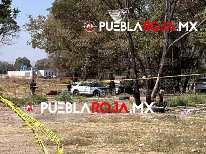 Macabro hallazgo en San Aparicio: abandonan cadáver de mujer dentro de una caja de refrigerador