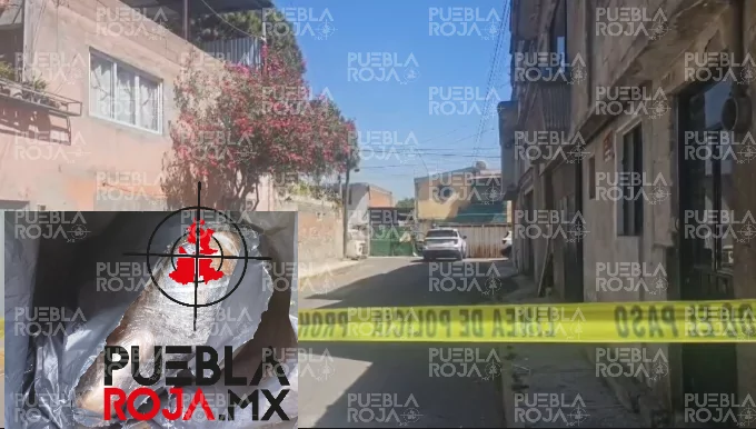 Abandonan cadáver embolsado y emplayado en Naciones Unidas