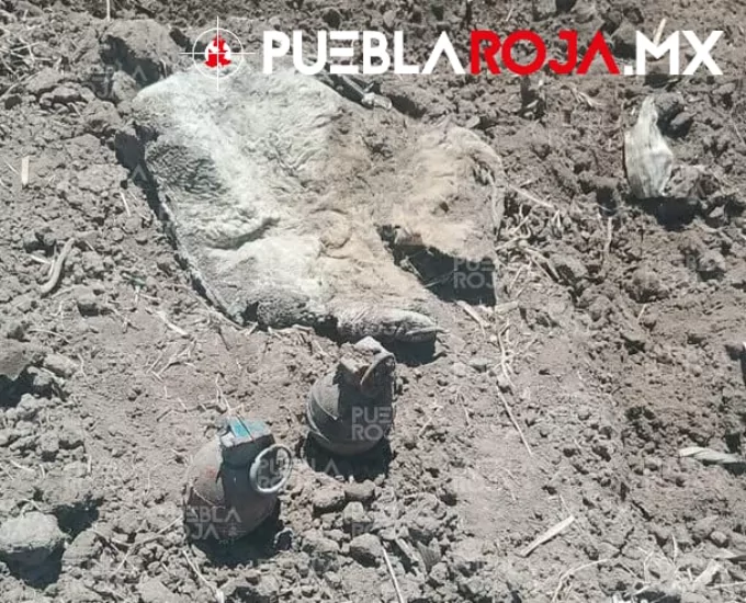 Hallan granadas en Amozoc; activan protocolo antiexplosivos