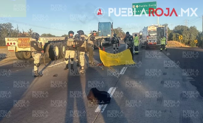 Muere hombre atropellado en la autopista Puebla–Orizaba; quedó tendido en el asfalto