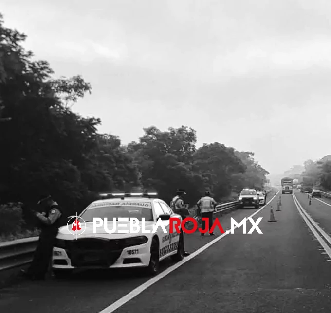 image - 2026-03-29T193738.455