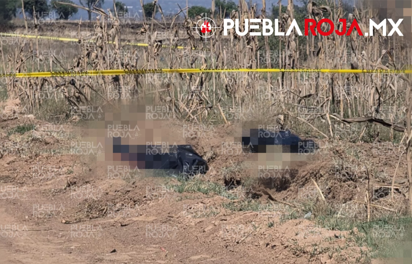 Otro cuerpo embolsado: terror en campos de Coronango