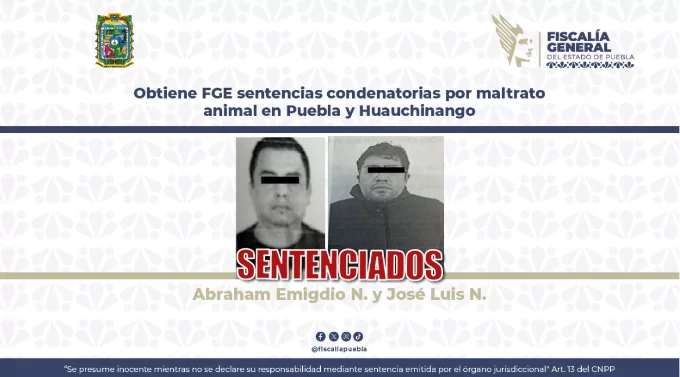 Obtiene FGE sentencias condenatorias por maltrato animal en Puebla y Huauchinango