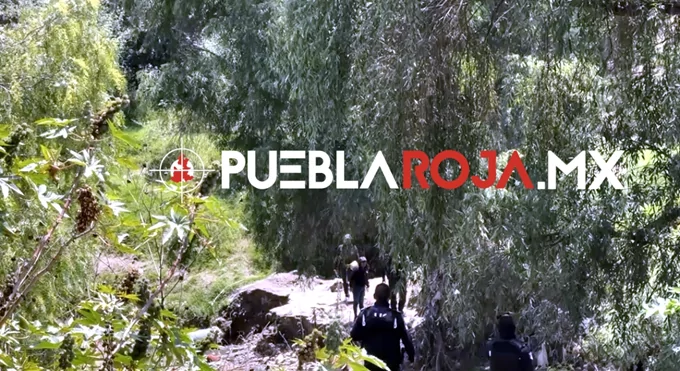 Macabro hallazgo en Totimehuacán: encuentran cadáver baleado y devorado por fauna