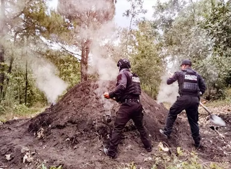 Eliminan 11 hornos clandestinos dedicados a la deshidratación ilegal de madera