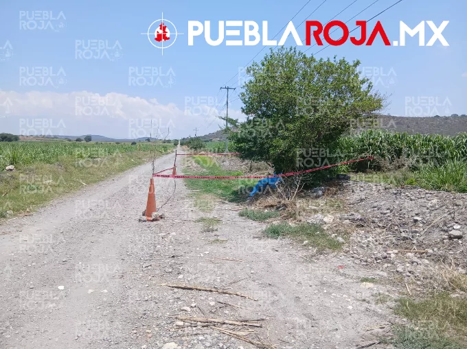 Abandonan restos humanos en bolsas y plástico entre cañaverales de Chietla