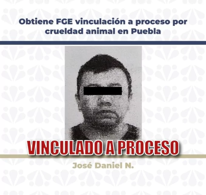 Obtiene FGE vinculación a proceso por crueldad animal en Puebla