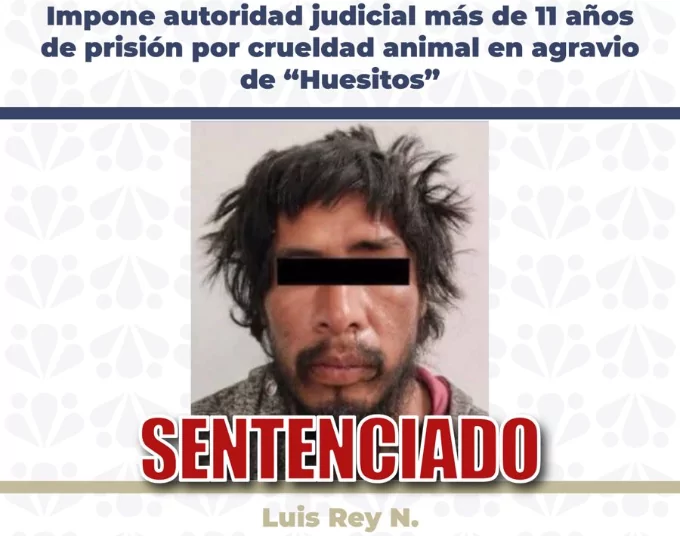 Impone autoridad judicial más de 11 años de prisión por crueldad animal en agravio de “Huesitos”