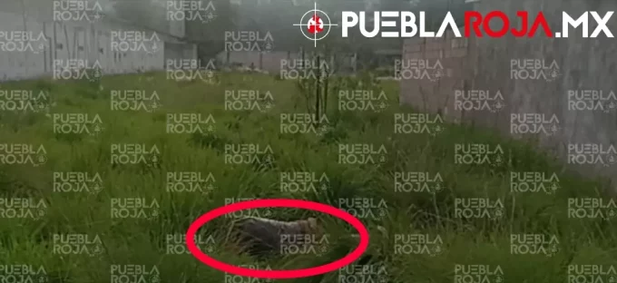 Asesinan a hombre con aparentes machetazos frente a su casa en El Capulín; investigan posible robo