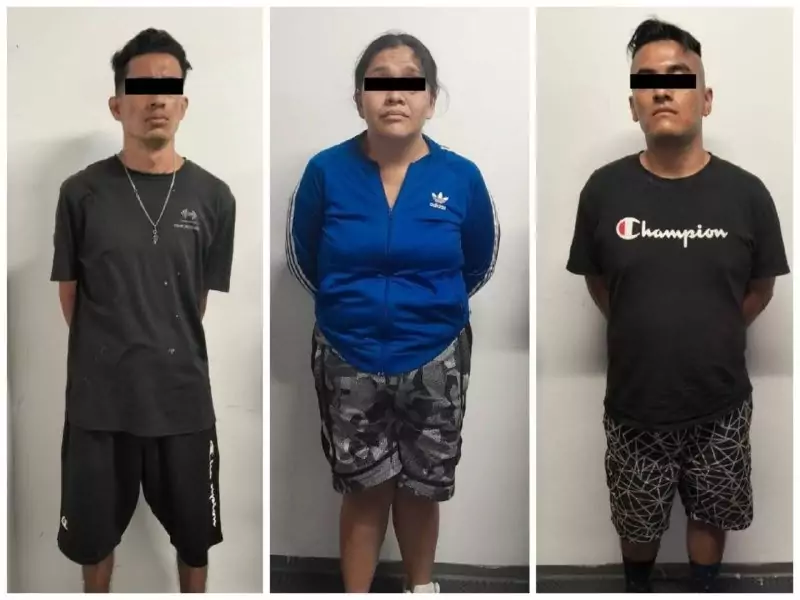 SSP decomisa más de ocho kilos de marihuana; hay tres detenidos en Chietla