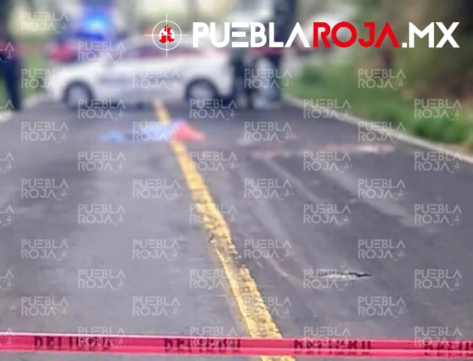 Muere motociclista; fatal accidente paraliza la federal México-Puebla en Tlahuapan