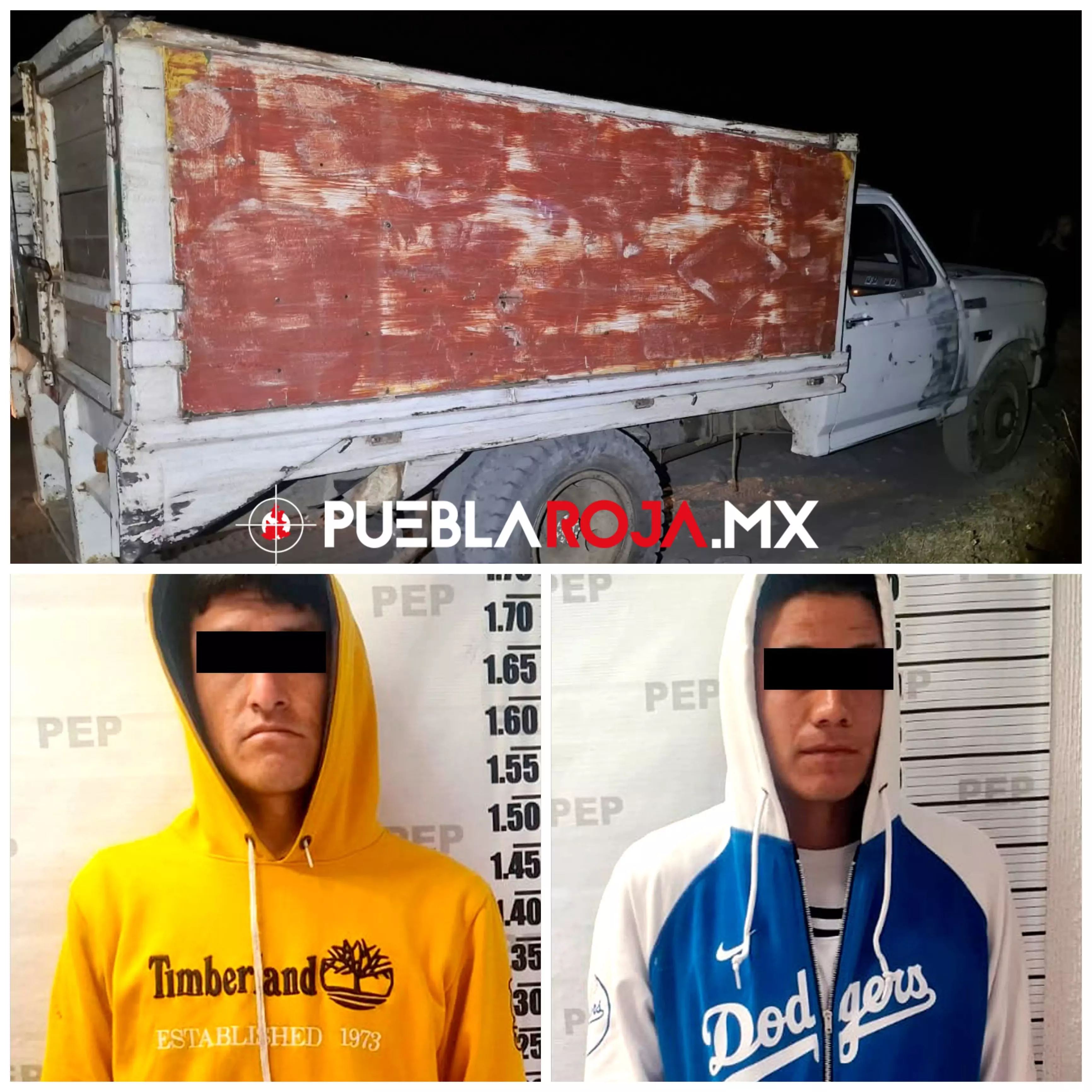 Aseguran 165 piezas de oyamel y detienen a dos por tala ilegal en Atlixco