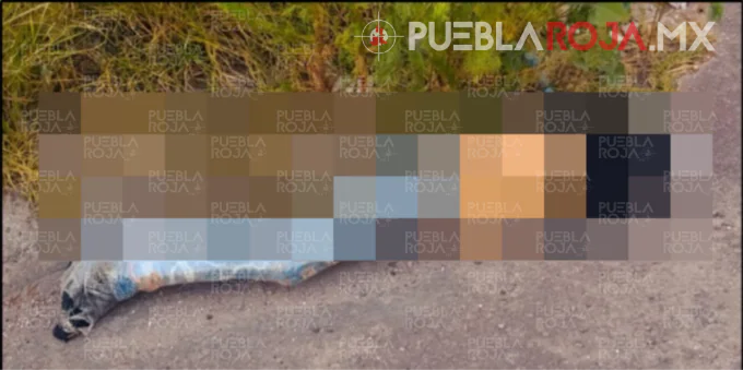 Envuelto en plástico y con dos balazos, hallan cadáver en Amozoc