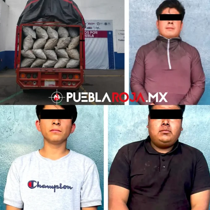 Caen cuatro sujetos por posesión ilegal de madera y carbón vegetal en Puebla