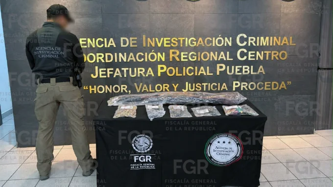 FGR realiza cuatro cateos simultáneos en domicilios de Zacatlán; hay nueve detenidos