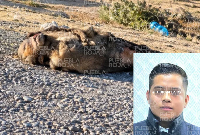 Confirman que cadáver hallado en Azumbilla es hijo del alcalde de Tecamachalco