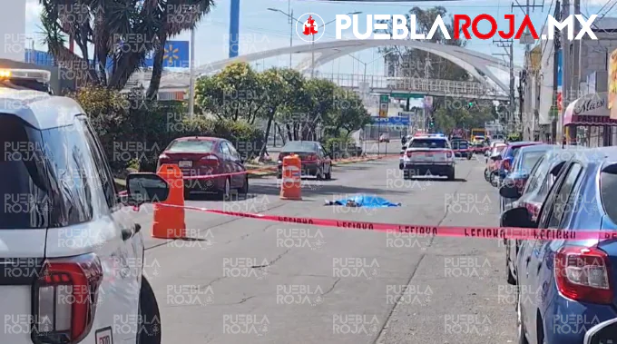 Ancianito baja de Ruta 10, cruza por delante y muere atropellado