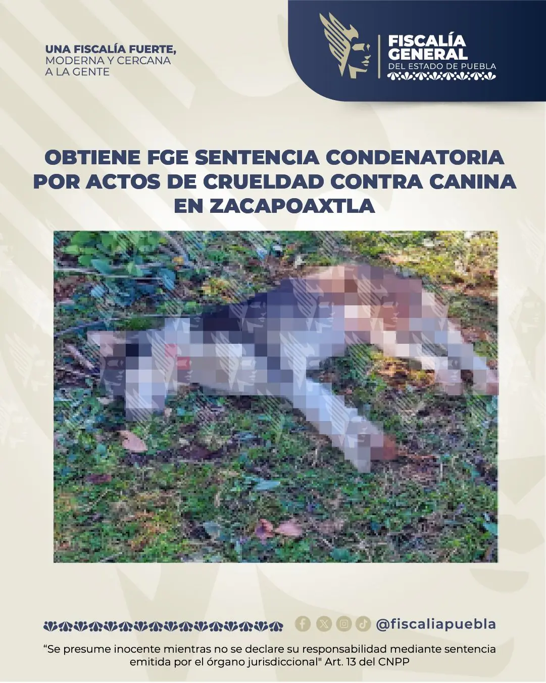Dan 2 años de prisión a sujeto que atacó con machete a una perrita en Zacapoaxtla