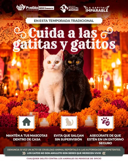 Refuerza Gobierno de la Ciudad medidas de protección animal por Día de Muertos