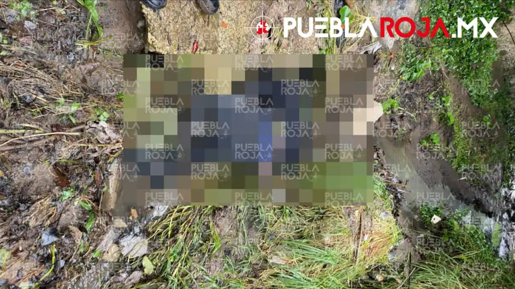 Hallan muerto a hombre de 31 años debajo de un puente en Chignautla; estaba desaparecido
