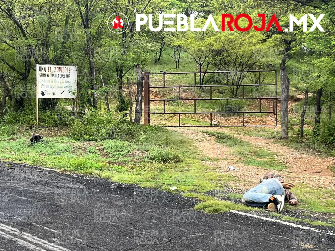 ¡Hallan a hombre ejecutado y maniatado en Chiautla! Investigan posible similitud con crimen de líder mototaxista